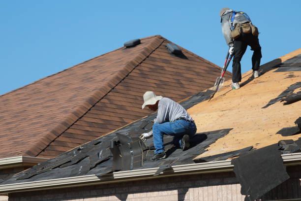 Best Asphalt Shingle Roofing  in Chatham, IL