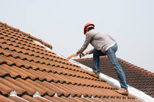 Best Metal Roofing Installation  in Chatham, IL