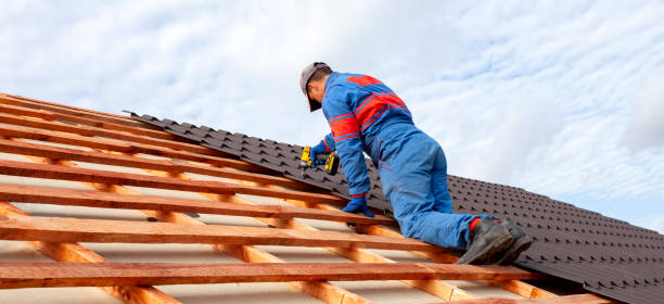 Best Siding  in Chatham, IL